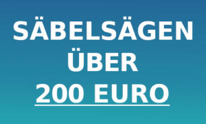 Säbelsäge über 200 Euro